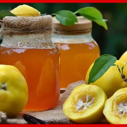 Quittengelee aus saft