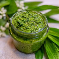 Bärlauch-Basilikum-Pesto