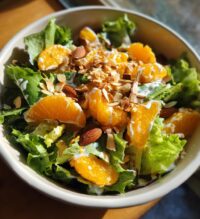 orange dreamsicle salad 2