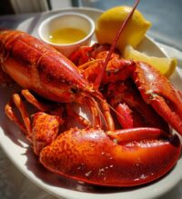 lobster close up